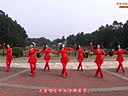 张春丽广场舞-我爱唱情歌廖弟老师合作版本火红版