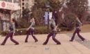 27长沙中信舞蹈队流浪的蝴蝶口令教学分解动作