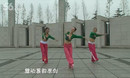 龙都舞动晨韵原创藏族舞健身操正面附背面演示