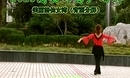 高安锦秀广场舞最美丽的仙女湾 背面口令分解动作教学