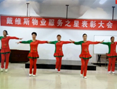 爱贺广场舞最美中国 正背面演示及分解动作教学 编舞爱贺