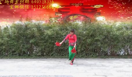 重庆宝娜广场舞《过年的味道》背面演示及分解教学 编舞宝娜