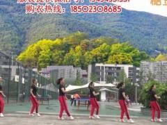 重庆叶子广场步子舞男人女人不容易 背面演示及分解教学 编舞