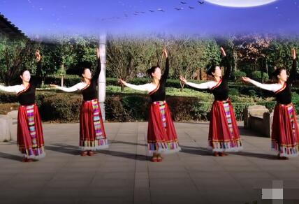 春英广场舞《月光下的美人》藏族舞 背面演示及分解教学 编舞春英