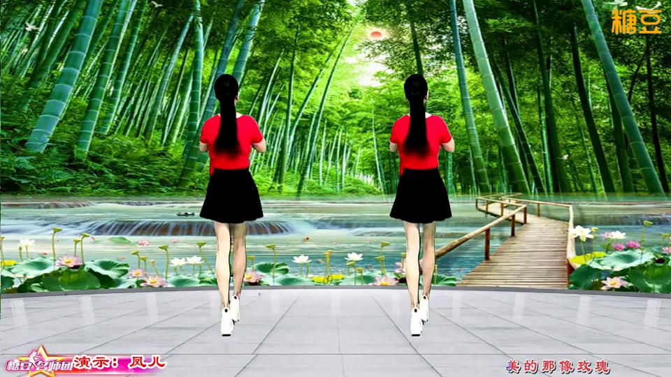 凤儿广场舞《谁家的姑娘这么美》原创64步附教学网红热舞