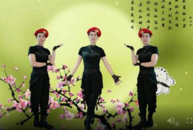 广州太和珍姐广场舞《梅花泪》原创抒情水兵舞 背面演示及分解教学