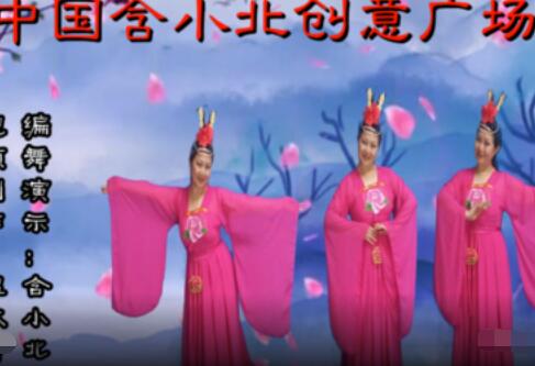 中国含小北广场舞《多少泪儿流》背面演示及分解教学 编舞含小北