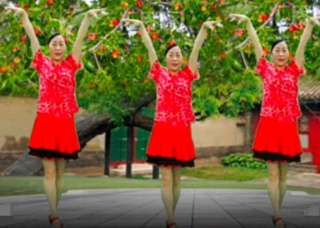 合肥庆庆广场舞《红枣树》恰恰风格32步 背面演示及分解教学 编舞庆庆