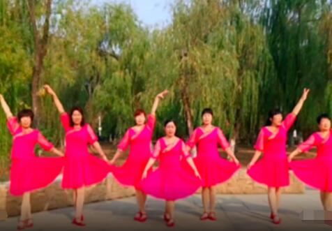 合肥庆庆广场舞《荞麦花》团队表演32步网红舞曲 背面演示及分解教学