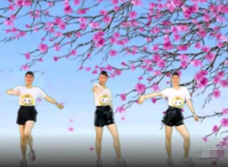 化州花开朵朵广场舞《听心》32步 背面演示及分解教学 编舞花开朵朵