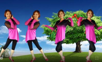 九月广场舞《红枣树》形体舞 背面演示及分解教学 编舞九月