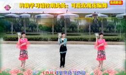 可爱玫瑰花广场舞我的家乡内蒙古 简单好学的大众舞蹈 编舞刘瑛