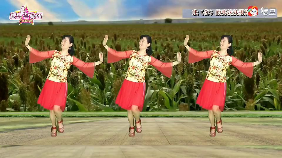 玲玲舞动《红红的高粱火火的情》简单轻快的陕北民族舞