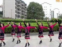 沅陵燕子广场舞相约拉萨 藏族舞 正背面演示及分解动作教学 编舞燕子