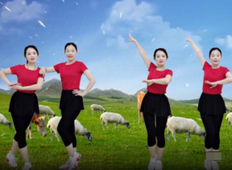 林州芳心广场舞《牧羊姑娘》原创欢快健身舞 背面演示及分解教学