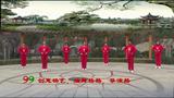 【省三十强】陕西汉中心儿美广场舞 【最美还是我的老家】 团队表演版