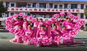 婷婷飞舞广场舞《和谐中国》16人变队形优美大气 演示和分解动作教学