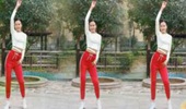 活力飞扬广场舞《沙漠骆驼》网红32步摆胯舞 演示和分解动作教学