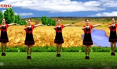 优柔广场舞《情花毒》舞步健身操第五套第四节腰腹运动 演示和分解动作教学