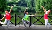 广州陈晨广场舞《让我听懂你的语言》专业傣族舞 演示和分解动作教学