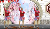 春景情雪广场舞《梅花泪》网红32步 演示和分解动作教学 编舞春景情雪