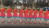 三亚迎宾广场舞《红枣树》演示和分解动作教学 编舞韩明