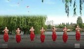 新嘉兴玫瑰广场舞《咖喱咖喱》印度风格舞蹈 演示和分解动作教学
