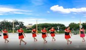 汕头燕子广场舞《梅花泪》团队版 演示和分解动作教学 编舞汕头燕子