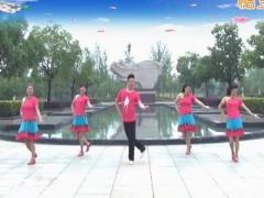 楠楠广场舞冰水情歌 休闲民族风舞蹈 演示和分解动作教学 编舞楠楠