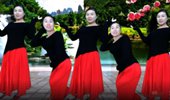 大塘白玫瑰广场舞《半壶纱》古典形体舞 演示和分解动作教学 编舞白玫瑰