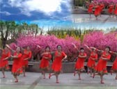 轻舞飞扬广场舞队、双滦民族文化广场舞队演示《姑娘走的那一天》