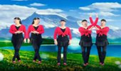英红梅广场舞《爱不停息》演示和分解动作教学 编舞英红梅