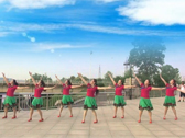 沭河之光广场舞 美丽的西藏我的家 沭河清秋编舞 正面演示 背面演示 分解教学