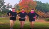 合肥庆庆广场舞《凤凰飞》团队表演鬼步舞40步 演示和分解动作教学