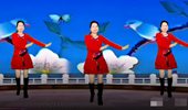 卢清秀广场舞《糊涂的蝴蝶》网红神曲32步 演示和分解动作教学