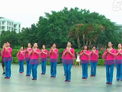 卢姨广场舞 我的西藏 团队演示