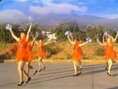 花想容广场舞 神州舞起来 10人变形队