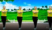 合肥庆庆广场舞《白龙马唢呐版》网红神曲32步 演示和分解动作教学