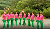 谷城元琴广场舞《粉红色的回忆》原创32步对跳 演示和分解动作教学