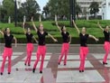 怀宁文化广场舞 俄罗斯舞曲 含分解动作 紫蝶编舞