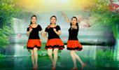 常熟燕子广场舞《红枣树》双人舞对跳 演示和分解动作教学 编舞燕子