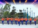 新月舞蝶广场舞 舞动中国 团队演示
