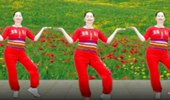 大自然广场舞《拉萨夜雨》40步网红神曲 演示和分解动作教学 编舞大自然