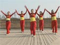 龙都舞动晨韵最新原创有氧健身操舞 美丽的西藏 附分解动作和背面演示