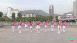 陕西田益珍丹凤舞蹈培训中心广场舞  今生的唯一 团队表演版