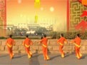 安庆小红人原创广场舞 富贵年 挂彩灯 团队背面演示