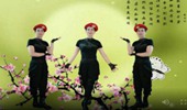 广州太和珍姐广场舞《梅花泪》原创抒情水兵舞 演示和分解动作教学