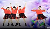 红豆广场舞《飞》网红舞曲 演示和分解动作教学 编舞涵冰