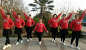 青庆广场舞《心痛的滋味谁能体会》活力健身操 演示和分解动作教学 编舞青庆