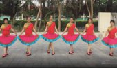 三亚迎宾广场舞《我和我的祖国》国庆七十周年特献 演示和分解动作教学
